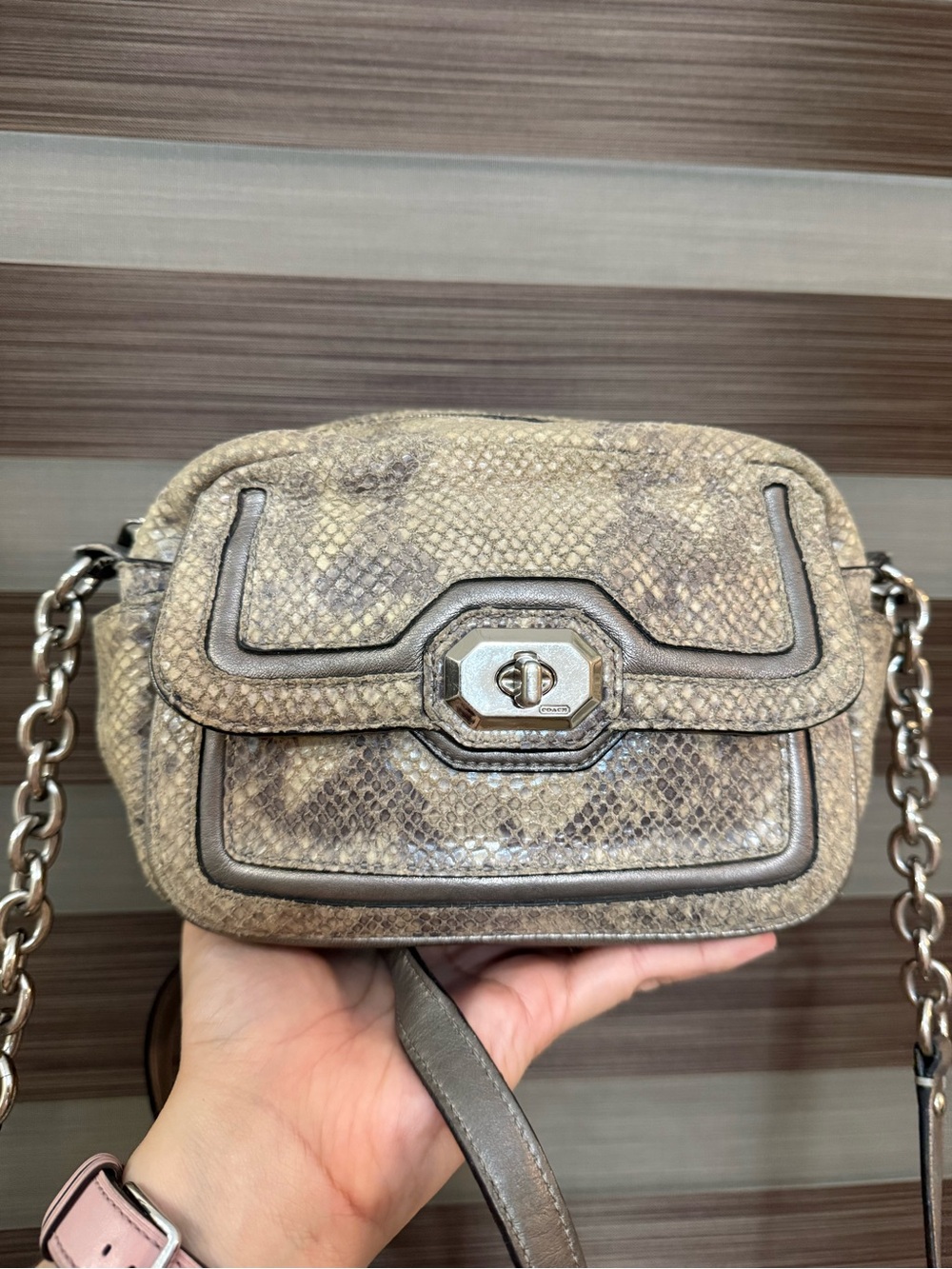 Coach Taupe Snake-Embossed Crossbody Bag with Chain Strap